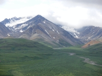 Cloudy day in Denali